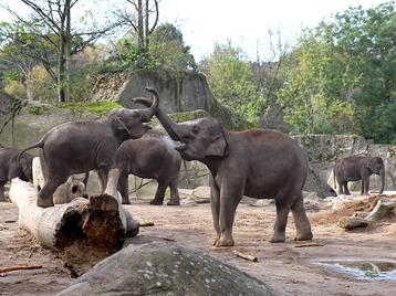 Bild zur Veranschaulichung des Projekts