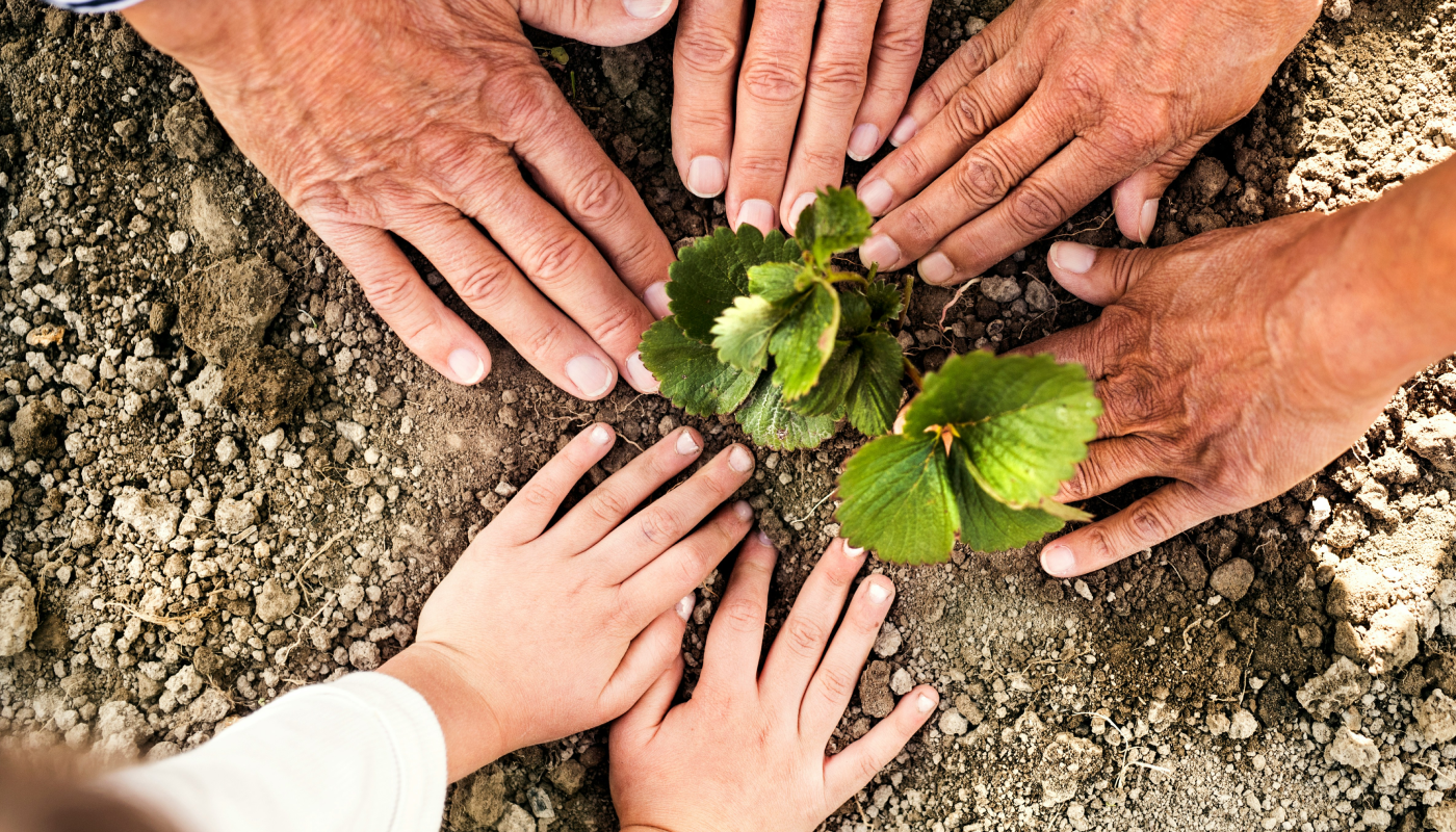 Sparkasse KölnBonn und 1. FC Köln